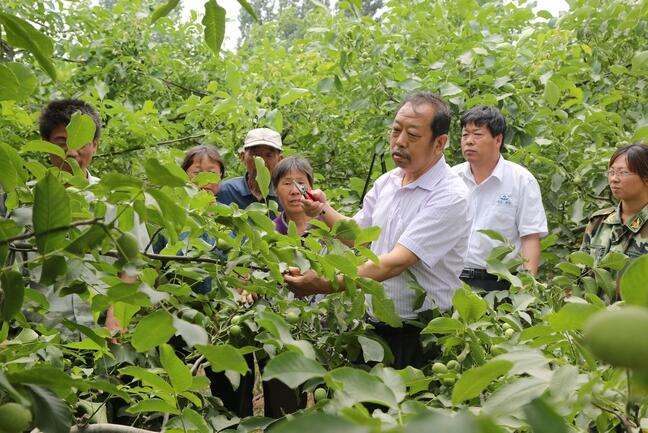 李保国在田间为农户讲解核桃栽培实用技术